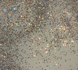 Whiteout - 2 oz. White Mirror Iridescent Fine Glitter - Geode Tumblers, Snow Scenes, Crafts, Ornaments!