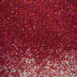 RUBY SLIPPERS FINE Holographic Glitter / 2 oz Bottle / Opaque Nail Art / Fall Winter Sparkle / Winter Bride / Geode Tumbler / Slime Crafts